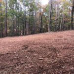 Forestry Mulch