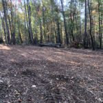 Forestry Mulch 3