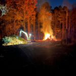 Land Clearing Burn