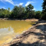 Land Clearing Pond Cleanup 2