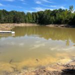 Land Clearing Pond Cleanup 3