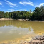 Land Clearing Pond Cleanup 4